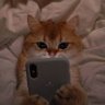 Elif🪸 profil fotoğrafı