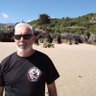 maestre1954's profile picture