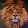 Wepesi's profile picture