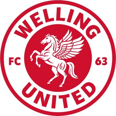 wellingunited's profile picture