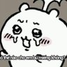 le huyh's profile picture