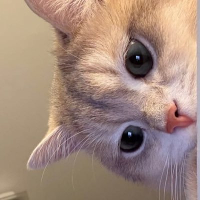 LAMER.🧸💤's profile picture