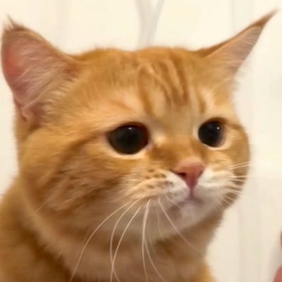 babymarklee02's profile picture