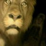 Vanished's profile picture