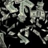 money vlog 的头像