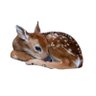 Фото профиля fawn ♡ | edtwt