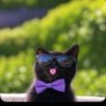 Gg profil fotoğrafı