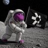 Profilbild von Barney Picks