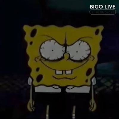 JM77 bob esponja +18's profile picture