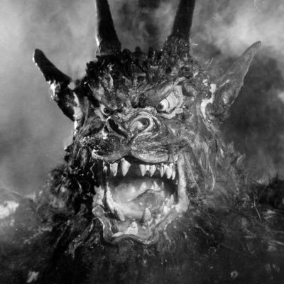 Dominic Hailstone's profile picture
