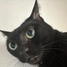 Profilbild von Pudbuq