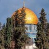 Emy 🇸🇩🇵🇸 𓂆's profile picture