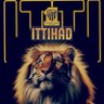 B.tiger 🐅💛🖤 的头像