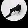 boy c Tobi's profile picture