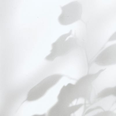 ᴊᴜsᴛ's profile picture