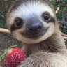 bidzzzy🐝 profil fotoğrafı