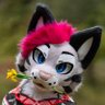 Фото профиля Soju cat ➔ nothing :(