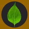 Truth and Hugs's profile picture
