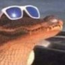 Saltwater Crocosmile's profile picture