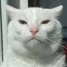 Profilbild von Fleck