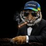 mrtiga profil fotoğrafı