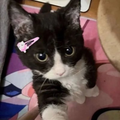 ⁿniee☆'s profile picture