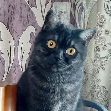 Константин's profile picture
