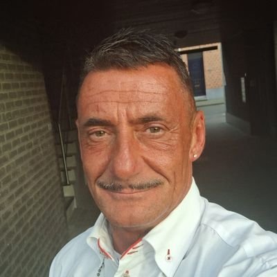 Rodriramosdebrauwer's profile picture