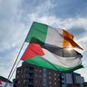 FreePalestine🇵🇸's profile picture