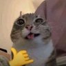 Profilbild von ann.