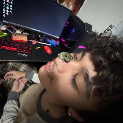 macro's profile picture