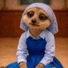 Фото профиля Aikons ASSOCIATION