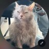 Breadwinner's profile picture