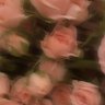 M8 Kaillou's profile picture