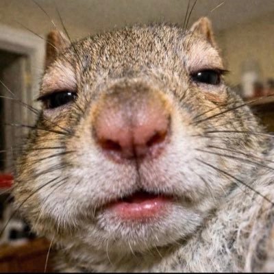 BNWONut's profile picture