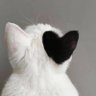 Alston Pepys profil fotoğrafı