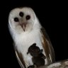 juanceto01🦉 profil fotoğrafı