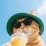 Profilbild von digoobuu_dez