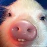 Profilbild von J.
