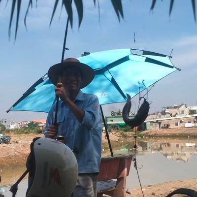 Minh Tran's profile picture