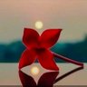 ورد 🌺 profil fotoğrafı