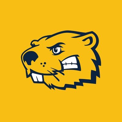 BVUAthletics's profile picture