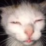 Collnaris's profile picture