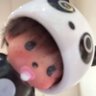 baeloo (🐼)'s profile picture