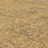 Фото профиля namecannotbeblank