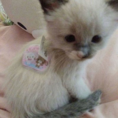 yourgfjuli's profile picture
