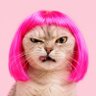 เอ็นซีที.'s profile picture