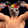 Joseph's profile picture