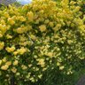 Фото профиля へっぽこはは