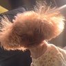 NaNa's profile picture